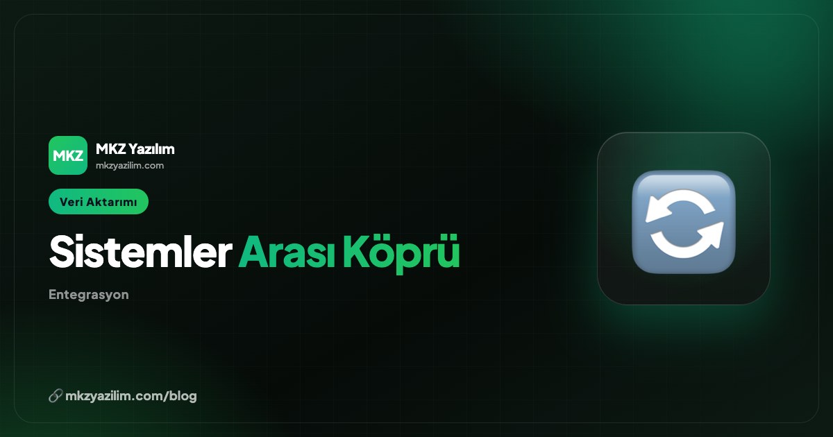 Sistemler Arası Veri Aktarımı Nasıl Sağlanır? Yol Haritası